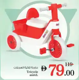 Nesto Tricycle asstd. offer