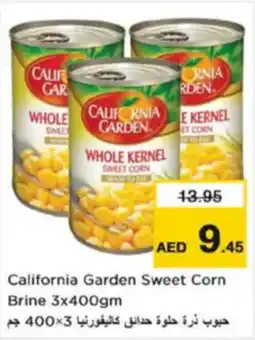 Nesto California Garden Sweet Corn Brine offer