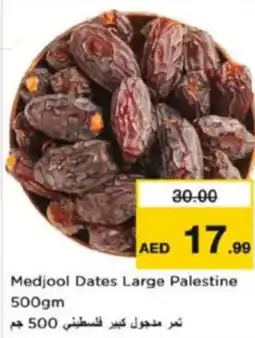 Nesto Medjool Dates Large Palestine offer