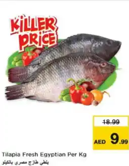 Nesto Tilapia Fresh Egyptian offer