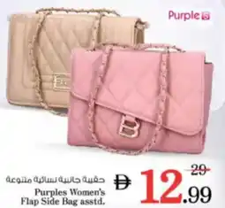 Nesto Purples Women's Flap Side Bag asstd. offer