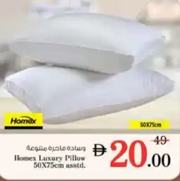 Nesto Homex Luxury Pillow asstd. offer