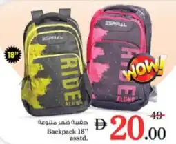 Nesto Backpack 18" asstd. offer