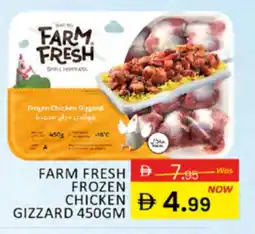Al Madina FARM FRESH Chicken Gizzard offer