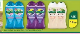 Nesto PALMOLIVE Shower Gel offer