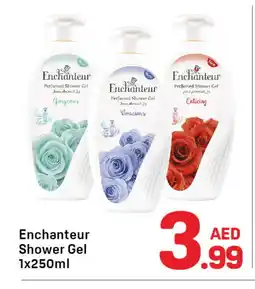 Day To Day Enchanteur Shower Gel offer