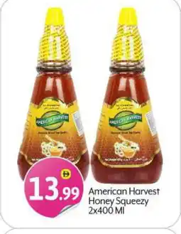 Bigmart AMERICAN HARVEST Honey offer