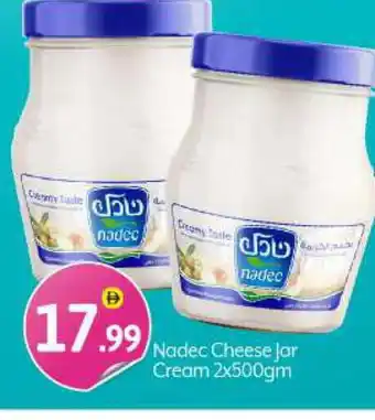 Bigmart NADEC Cream Cheese offer