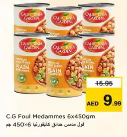 Last Chance CALIFORNIA GARDEN Fava Beans offer