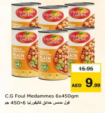 Last Chance CALIFORNIA GARDEN Fava Beans offer