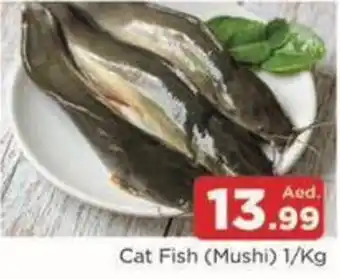 Abraj Al Madina Cat Fish Mushi offer