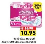 Ramez Always Care Cotton-touch Large 30 offer
