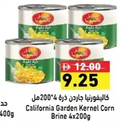 Ramez California Garden Kernel Corn Brine offer