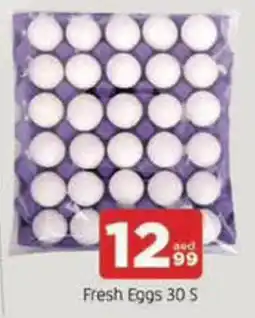 Al Madina Hypermarket Fresh Eggs 30 S offer