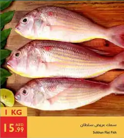 Istanbul Supermarket Sulthan Flat Fish offer