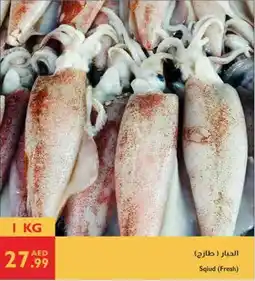 Istanbul Supermarket Sqiud (Fresh) offer