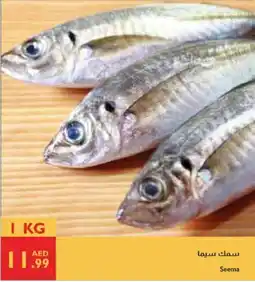 Istanbul Supermarket Seema offer
