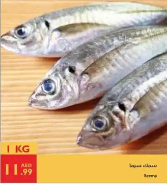 Istanbul Supermarket Seema offer