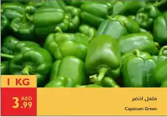 Istanbul Supermarket Capsicum Green offer