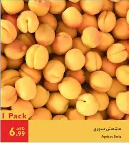 Istanbul Supermarket Apricot Syria offer