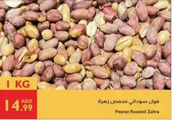 Istanbul Supermarket Peanut Roasted Zahra offer