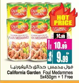 Ansar Gallery CALIFORNIA GARDEN Fava Beans offer