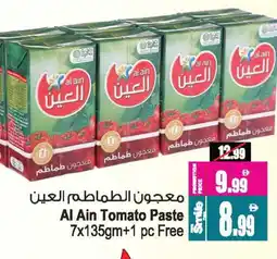 Ansar Gallery AL AIN Tomato Paste offer
