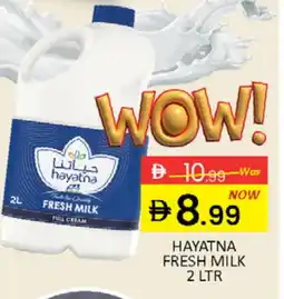 Al Madina HAYATNA Fresh Milk offer