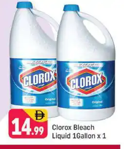 Shaklan CLOROX Bleach offer