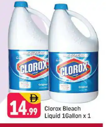 Shaklan CLOROX Bleach offer
