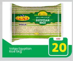 Mark & Save VOLGA Egyptian / Calrose Rice offer