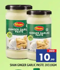 Al Madina SHAN Garlic Paste offer