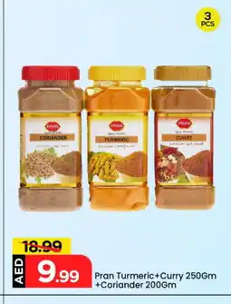 Mark & Save PRAN Spices / Masala offer