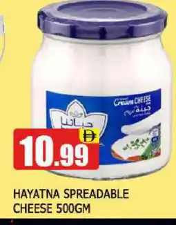 Al Madina HAYATNA Cream Cheese offer
