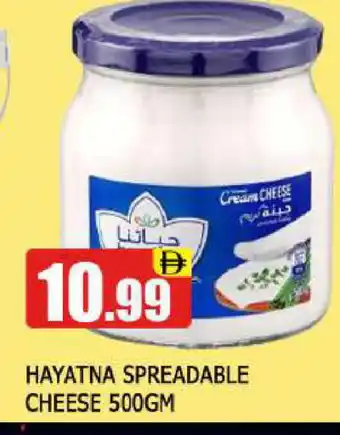 Al Madina HAYATNA Cream Cheese offer