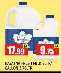 Al Madina HAYATNA Fresh Milk offer