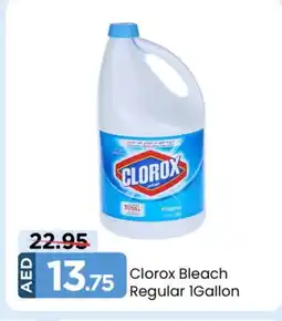 Mark & Save CLOROX Bleach offer