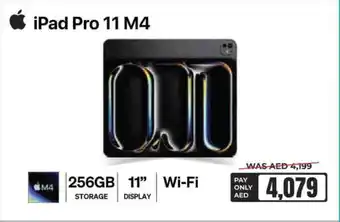 E City APPLE iPad offer