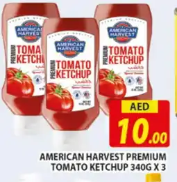 Al Madina AMERICAN HARVEST Tomato Ketchup offer