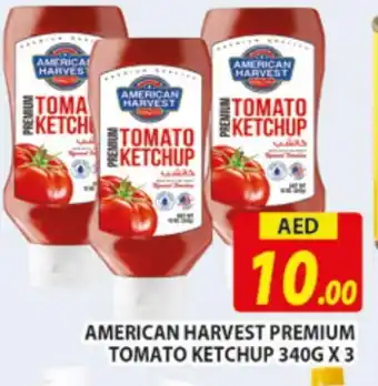 Al Madina AMERICAN HARVEST Tomato Ketchup offer