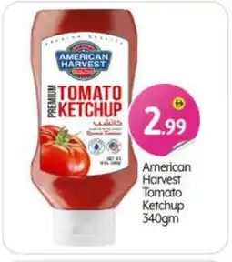 Bigmart AMERICAN HARVEST Tomato Ketchup offer