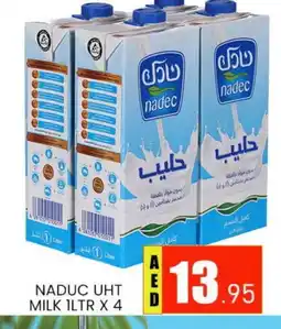 Al Madina NADEC Long Life / UHT Milk offer