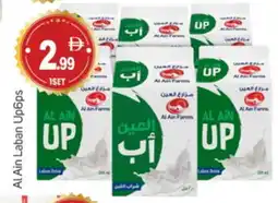 Talal Market AL AIN Laban offer