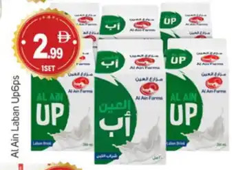 Talal Market AL AIN Laban offer