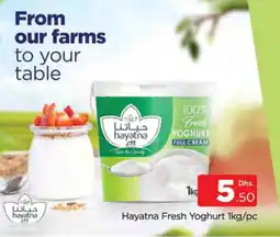 Al Madina HAYATNA Yoghurt offer