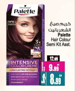 Ansar Gallery PALETTE Hair Cream offer