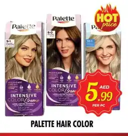 Night to Night Hypermarket PALETTE Hair Colour offer