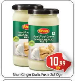 Bigmart SHAN Garlic Paste offer