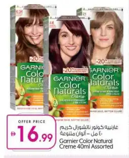 Bigmart GARNIER Hair Colour offer