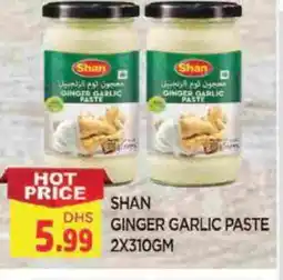 Al Madina SHAN Garlic Paste offer